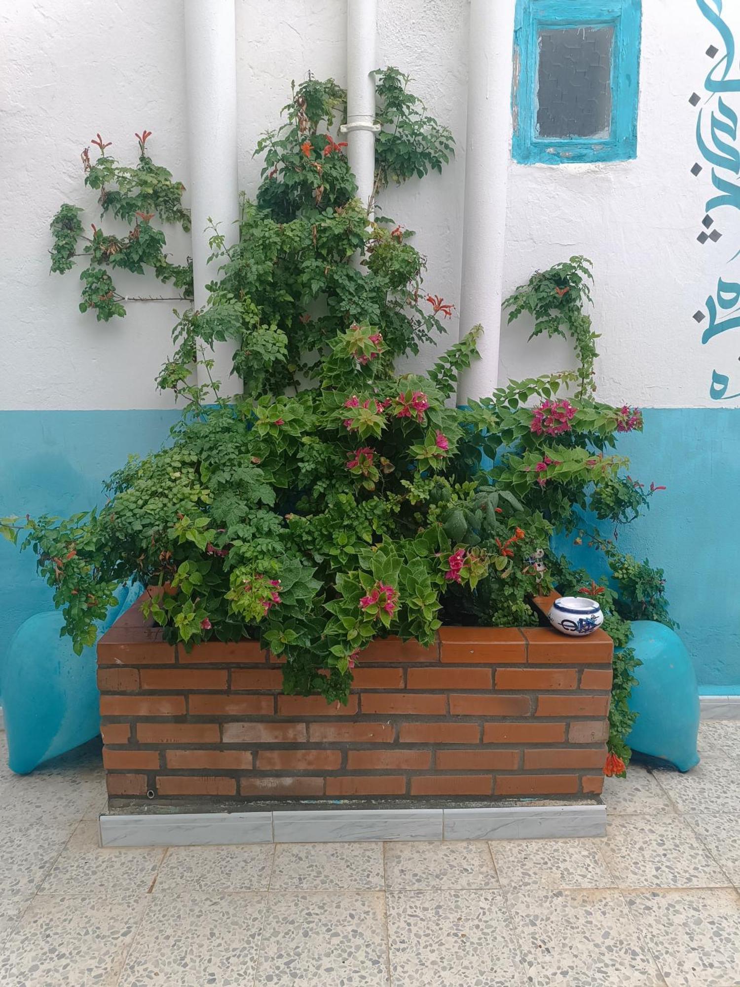 Dar Hkaiem Hotel Hammam Sousse Exterior photo